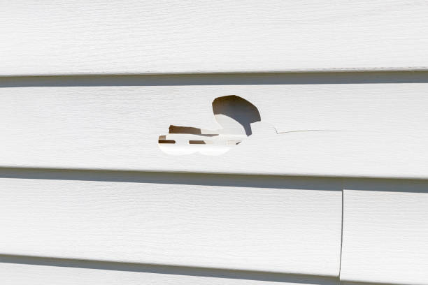 Best Insulated Siding Installation  in Edmonston, MD