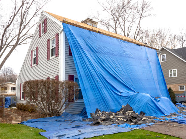 Best Insulated Siding Installation  in Edmonston, MD
