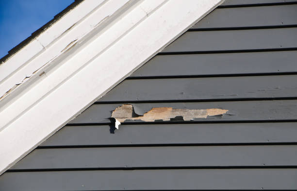 Best Weatherproofing and Sealing  in Edmonston, MD