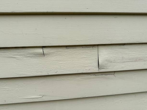 Siding for Commercial Buildings in Edmonston, MD